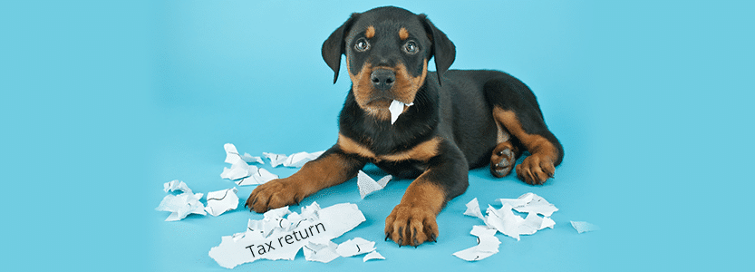 excuses for not filing a tax return IRIS - puppy eating tax returns