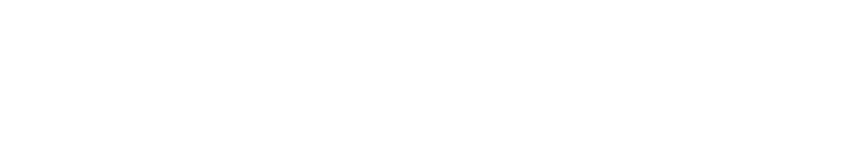 IRIS Recruitment white | IRIS Recruitment Services