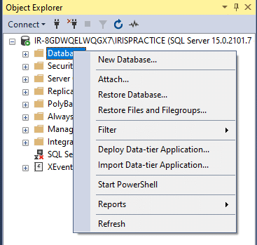 SSMS | Databse Folder
