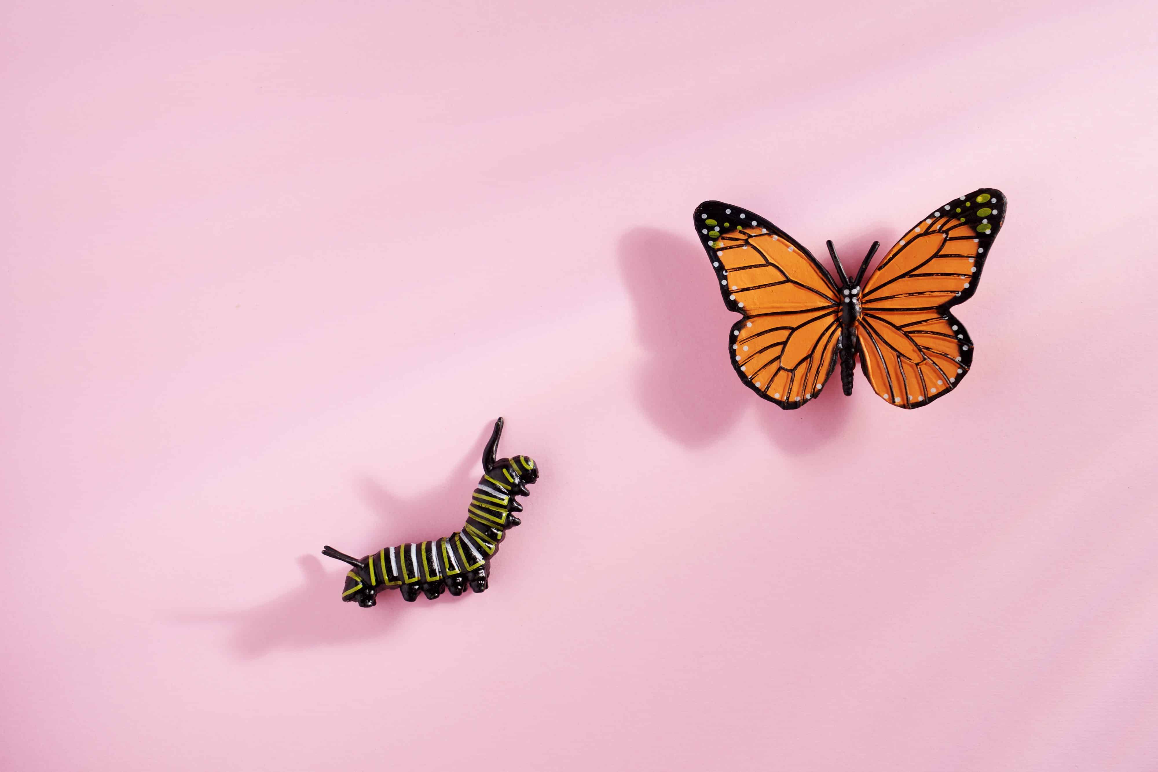 iStock 2226512246 scaled | HR technology and artificial intelligence (AI): the reality of change