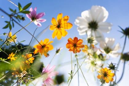 iStock 2196545732 | Staffology Payroll spring 2026 update