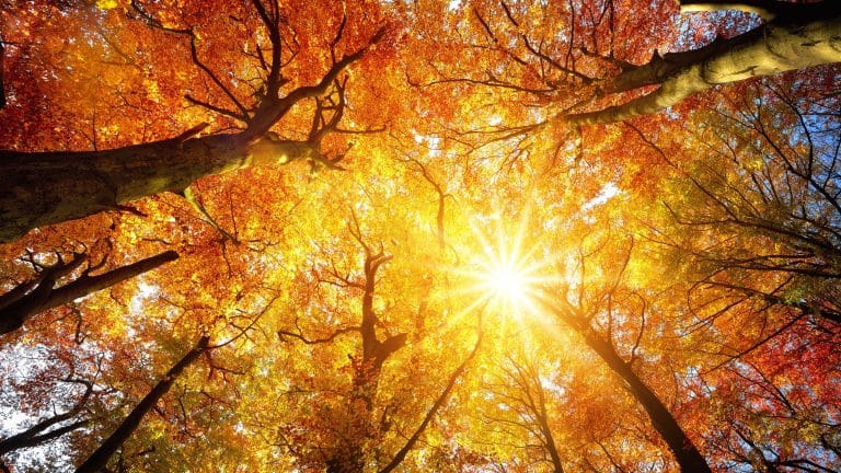 Staffology Payroll autumn 2026 software update 9 Staffology Payroll autumn 2026 software update | Staffology Payroll autumn 2026 software update